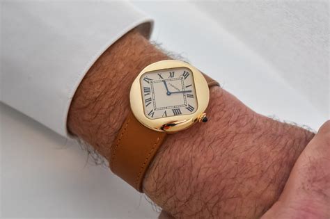 cartier pebble re edition.